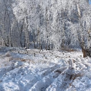 Фундаменты на забивных ЖБ сваях