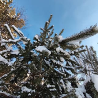 Фундаменты на забивных ЖБ сваях